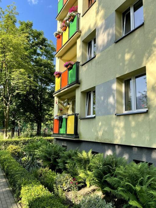 Sunny In Silesia Czeladz