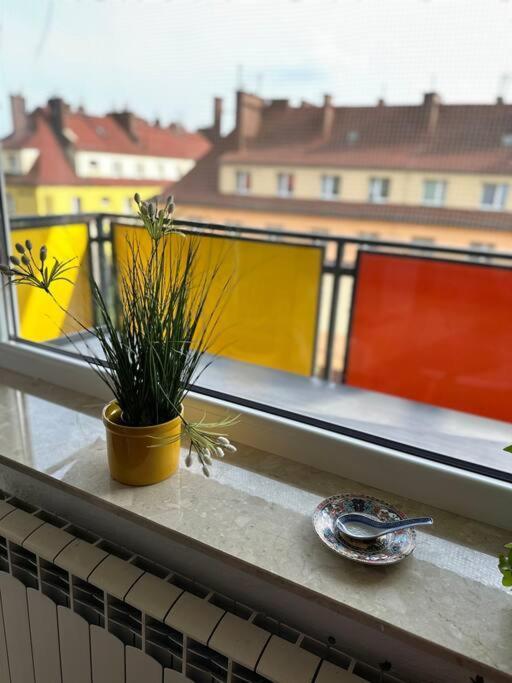 Sunny In Silesia Apartment