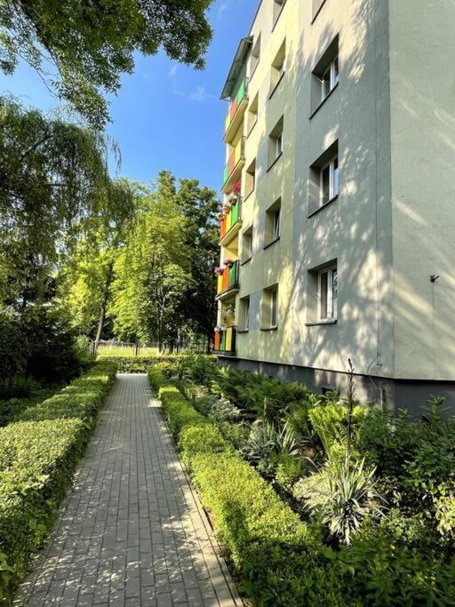 Sunny In Silesia Apartment *